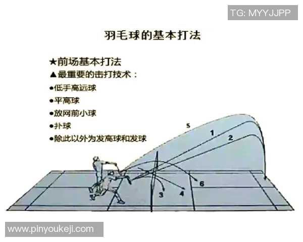科学羽毛球比赛经验与高效训练方法的全面解析与实践指导