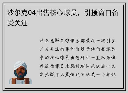 沙尔克04出售核心球员，引援窗口备受关注